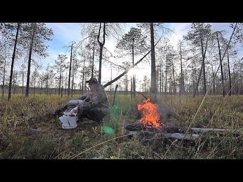 Видео: Лесное болото.Сбор клюквы на севере.Жареное сало с хлебом на костре. Развёл костёр огнивом.