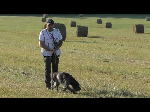 Видео: 9. НАТАСКА ЛЕГАВЫХ  / ГОНЬБА часть 2
