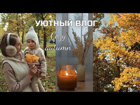 Видео: Золотая осень🍁Тыквенный суп, обустройство кухни, брусничный морс🎃 Уютная жизнь