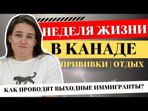 Видео: Прививки в Канаде | Смотри это видео про одну неделю из нашей жизни в Канаде