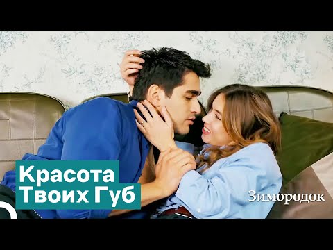 Видео: Давай Немного Поживём Любовью На Диване | Зимородок