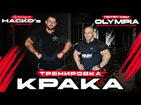 Видео: Пътят към Mr.Olympia с Радослав Ангелов - тренировка за крака - предно бедро и прасец