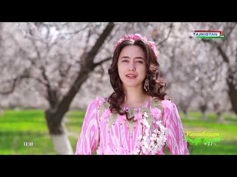 Видео: Навруз 2019: Конибодом / Tajikistan Navruz 2019