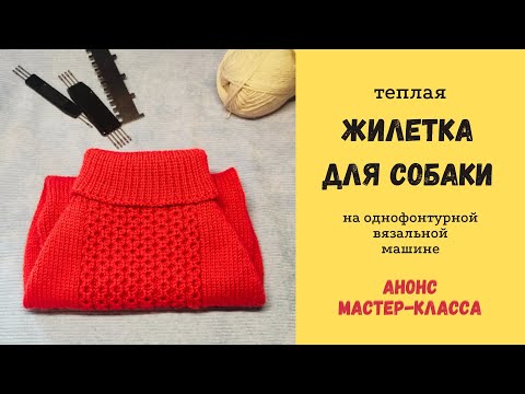 Видео: ЖИЛЕТКА для СОБАКИ на вязальной машине 🐶 АНОНС МАСТЕР-КЛАССА!