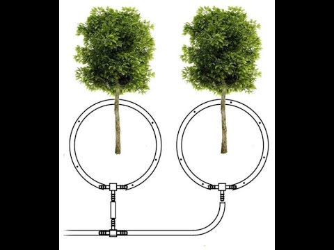 Видео: Капельный полив кустарников (плодовых и декоративных), деревьев, малины, ежевики.