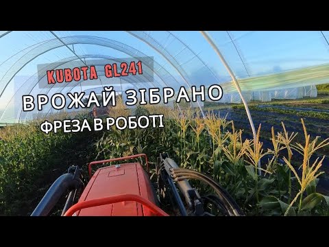 Видео: ФРЕЗЕРОВКА КУКУРУДЗИ В ТЕПЛИЦІ🌽😬 KUBOTA GL241 В РОБОТІ👌