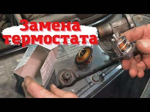 Видео: Замена термостата без слива антифриза на Renault