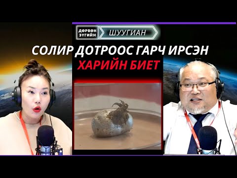 Видео: Дөрвөн зүгийн шуугиан | 2025-09-17 | Солир дотроос үл мэдэгдэх "Харийн биет" гарч иржээ