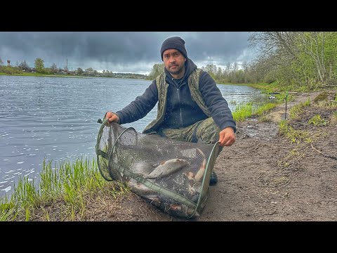 Видео: СЫРТЬ АТАКУЕТ! ВЕСЕННЯЯ ЛОВЛЯ СЫРТИ НА ФИДЕР И ДОНКУ. ДУШЕВНАЯ РЫБАЛКА И ОТЛИЧНЫЙ КЛЕВ🎣👍🏻