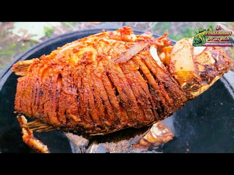 Видео: Караси в сметане с копчёным беконом, в казане на костре, Так вкусно карасей ещё не кто не готовил.