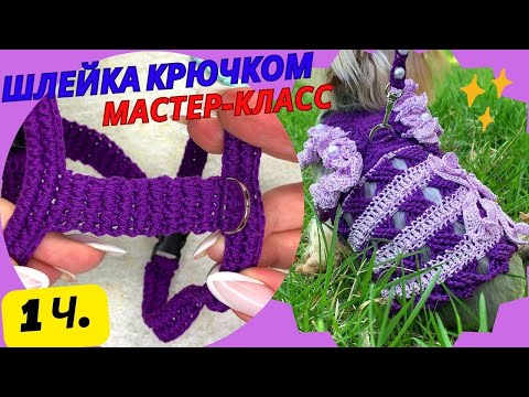 Видео: Вязание шлейки "ЛОТОС" крючком: стильная кофта-платье для вашей любимицы! 1 часть