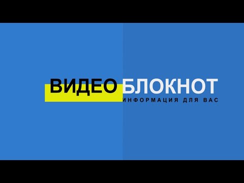 Видео: Видеоблокнот 29.10.25