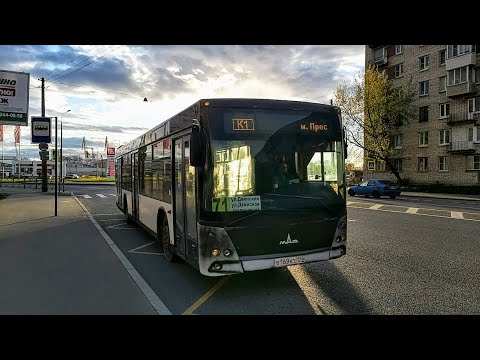 Видео: Автобус, маршрут №71 (кольцевой) МАЗ-203.067 б.169 (15.05.2022) Санкт-Петербург