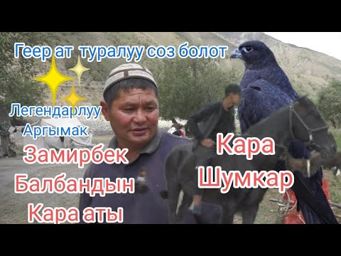 Видео: Балбандын Кара ШУМКАРЫ
