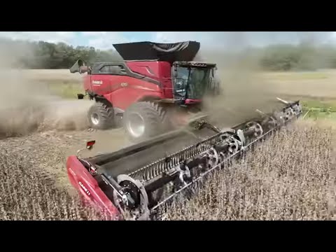 Видео: Case IH AF 10 срезает соевые бобы жаткой Macdon FD250 (25–27-й день уборки), сезон 6, серия 29