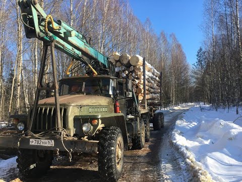 Видео: Лесозаготовка 2022 или как я провел зиму