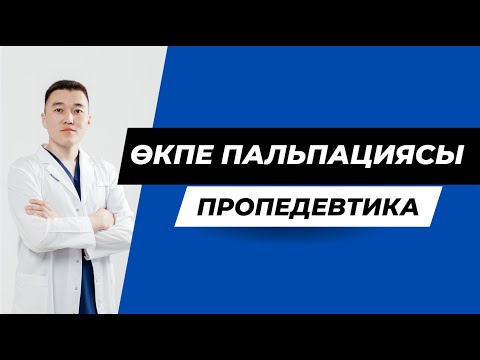 Видео: ӨКПЕ ПАЛЬПАЦИЯСЫ / КЕУДЕ ТОРЫ ПАЛЬПАЦИЯСЫ