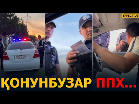 Видео: ҚАШҚАДАРЁДА ҚОНУНБУЗАР ППХ ХОДИМЛАРИ… – EFFECT UZ