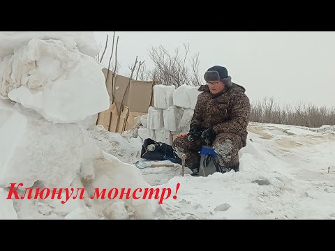 Видео: Самая тяжелая трудовая рыбалка на Амуре в феврале. Ловим щуку в с. Вознесенское Хабаровского края.