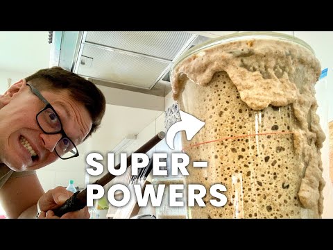 Видео: 4 НЕОШИБОЧНЫХ СОВЕТА ПО ПРИГОТОВЛЕНИЮ ЗАКВАСКИ, КОТОРЫЕ ПОМОГУТ ВАМ В ВЫПЕЧКЕ