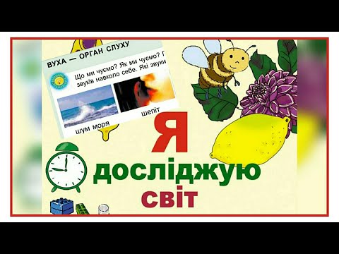 Видео: Вуха - орган слуху | ЯДС | 1 клас | НУШ