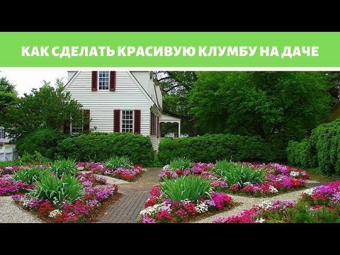 Видео: Как сделать красивую клумбу на даче: идеи и реализация