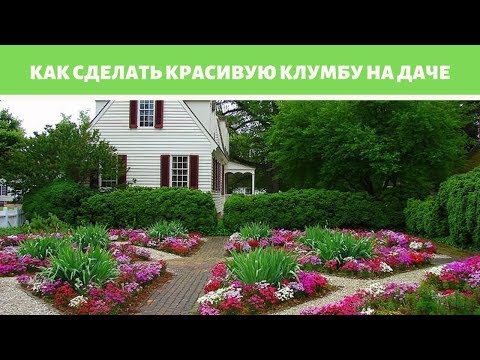 Видео: Как сделать красивую клумбу на даче: идеи и реализация