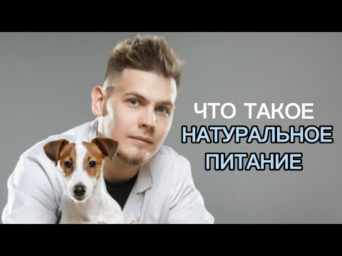 Видео: Что такое натуральное питание, кому оно подходит и зачем на него переводить?