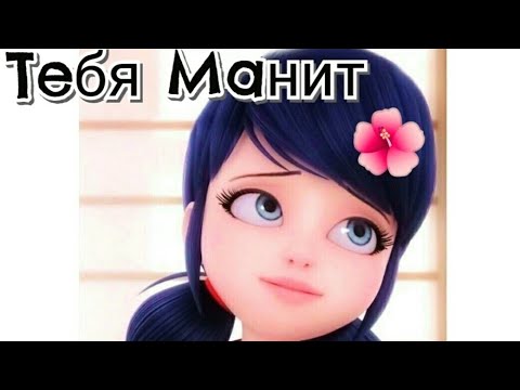 Видео: ЛЕДИ БАГ И СУПЕР КОТ❤❤❤ КЛИП ПОД ПЕСНЮ "ТЕБЯ МАНЯТ"💕💕💕