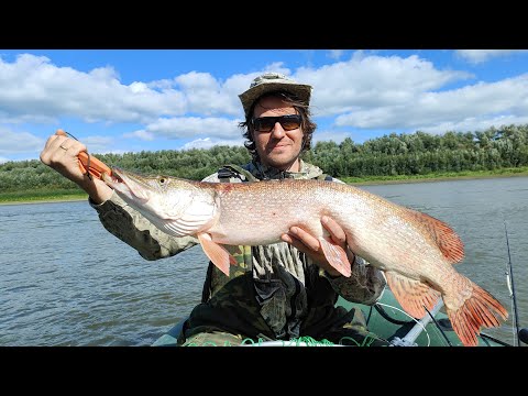 Видео: РЫБАЛКА МЕЧТЫ!!! Рыбалка с сыном Тевриз. 2-й день. Рыболовное путешествие на север Омской области