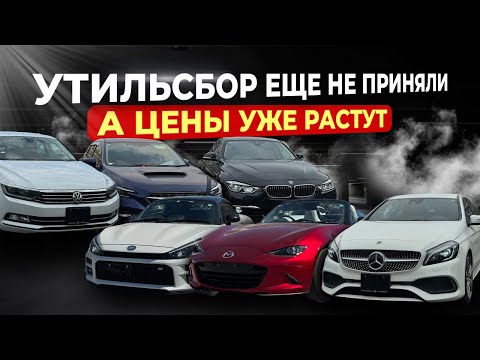 Видео: ‼️ПОЧЕМУ ЦЕНЫ РАСТУТ? И ПРИЧЕМ ТУТ УТИЛЬСБОР? ‼️LEVORG🔥PASSAT🔥ROADSTER🔥RAV4🔥A-CLASS🔥