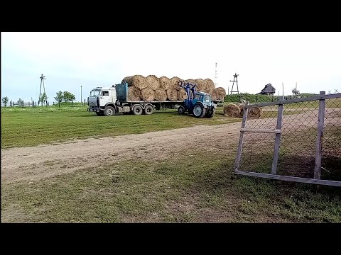 Видео: Проблема с сеновалом и Осенняя вет.обработка коров