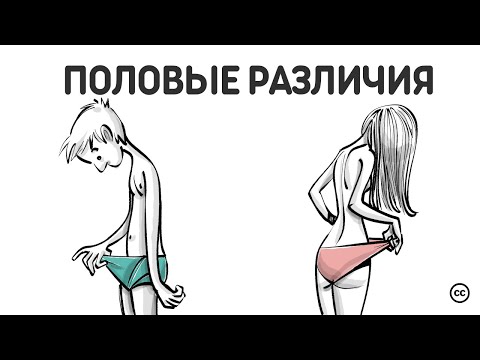 Видео: Половые Различия