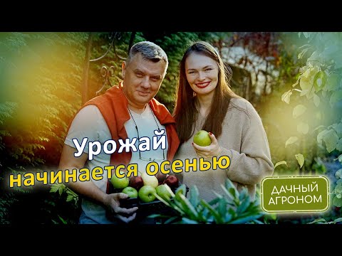 Видео: ОСЕНЬЮ Одна ложка под куст Две под дерево и Сад будет ломиться от урожая