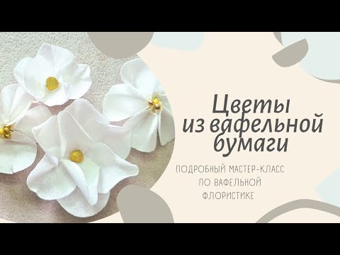 Видео: Цветы из вафельной бумаги. Быстро и красиво #кондитер  #вафельныецветы #декорторта #торт