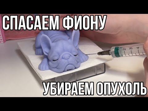 Видео: СПАСАЕМ СКВИШИ СОБАЧКУ, ОПУХОЛЬ У ФИОНЫ