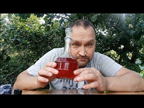 Видео: Настойка на красной смородине/ Пожарил рыбу на костре. #готовканаприроде #природа #настойки #еда 