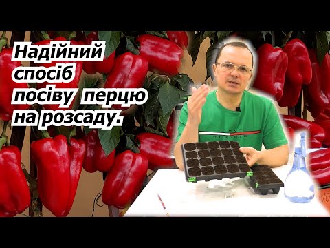 Видео: Сіємо перець та баклажани на розсаду. Завжди чудовий результат!