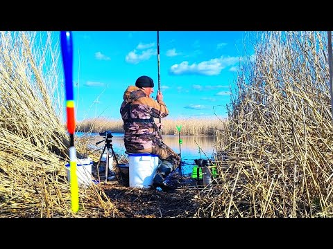 Видео: НАШЕЛ УКРОМНОЕ МЕСТО КУДА ЗАКИНУТЬ ПОПЛАВОК!!! Весенняя рыбалка 2025!