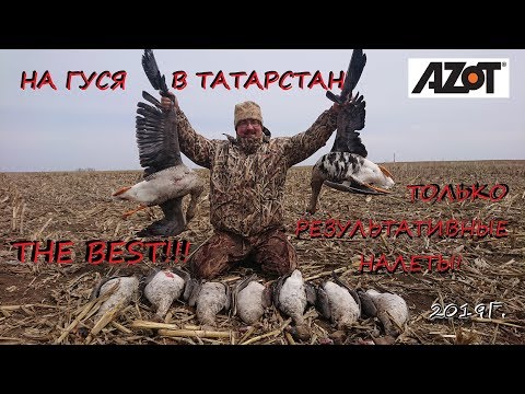 Видео: На гуся в Татарстан. Только результативные налеты! The Best!!!