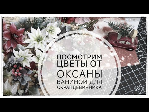 Видео: Обзор цветов для Скрапдевичника в Пушкино