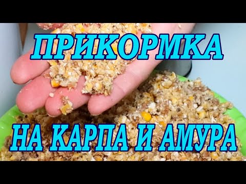 Видео: УЛОВИСТАЯ ПРИКОРМКА НА КАРПА И АМУРА!