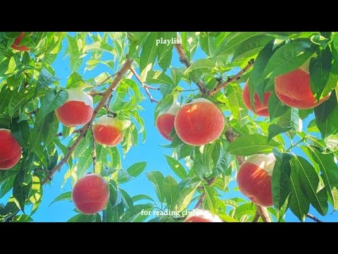 Видео: Плейлист Привет, Мой Персик