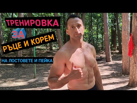 Видео: Кръгова тренировка на лостове за ръце и корем!!!