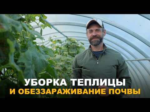 Видео: УЖЕ ПОРА ПОЗАБОТИТЬСЯ О ЗДОРОВЬЕ ПОЧВЫ В ТЕПЛИЦЕ. Подготовка теплицы к зиме.