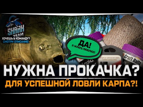 Видео: По чему не клюёт Карп? • Нужна ли прокачка навыков при ловле Карпов? • Русская Рыбалка 4