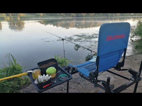 Видео: 23 кг. леща. Коломна. Москва река. Рыбалка в июле .