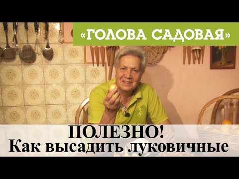 Видео: Голова садовая - ПОЛЕЗНО! Как высадить луковичные
