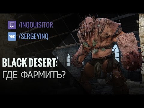Видео: Вопросы со стримов: Где фармить в Black Desert?