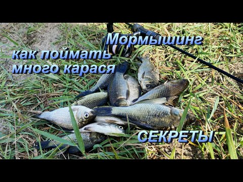 Видео: Мормышинг.  Карась в озерах